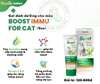 gel-boost-immu-tang-cuong-mien-dich-cho-meo