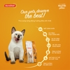eurochef-kitten