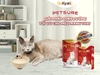 sua-dr-kyan-petsure-premium-meo