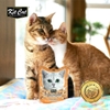 kitcat-freeze-bites-20gr
