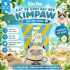cat-dat-set-kimpaw-10kg