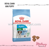 hat-royal-canin-mini-starter-mother-babydog