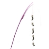 can-cau-gia-dinh-chuot-size-sieu-lon-cattyman
