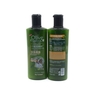 sua-tam-olive-essence-450ml