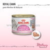 pate-royal-canin-mother-babycat-195gr