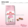 royal-canin-kitten