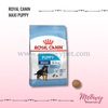 royal-canin-maxi-puppy
