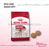 hat-royal-canin-medium-adult-cho-cho-truong-thanh-co-can-nang-11-25kg