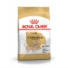 royal-canin-chihuahua
