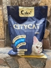cat-citycat-8l