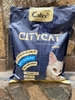 cat-citycat-8l