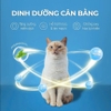 sup-thuong-faenbei-cream-goi-4x15g