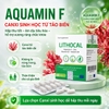 vien-uong-lithocal-canxi-huu-co-ho-tro-xuong-khop-60-vien