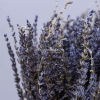 Lavender khô - bó hoa oải hương khô