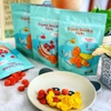 Sữa Chua Khô cho bé Organic Amara Mỹ Không Đường 25g