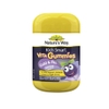 Kẹo dẻo tăng đề kháng gummy Nature's Way Kids Smart hộp 60 viên