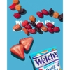 Kẹo dẻo trái cây Welch's Fruit Snacks gummy hương vị trái cây tự nhiên 1 gói
