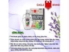 Dầu Gió Trắng Con Ó 2 Nắp Của Mỹ Eagle Brand Medicated Oil Lavender 24ml