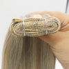 Flat Weft Hair Double drawn Mixed color Sandy