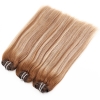 Machine Weft Hair Double drawn Ombre Mixed color Item code: ZNMA0001