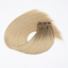 Machine Weft Hair Double drawn Ombre Item code: ZNMA0001d