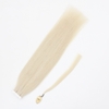 Tape in Hair Extension Double drawn Light Blonde Itemcode: ZNTA001