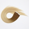 Tape in Hair Extension Double drawn Ombre Brown/Blonde Itemcode: ZNTA003