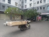 Giường Hộp Kiểu Hàn - Mẫu 2 Khối Tối Ưu Hoá Không Gian