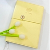 Sổ Tay Bìa Da Mềm Cao Cấp A5 Blueangel 160 Trang 100gsm - Sổ Da Ghi Chép Ruột Chấm Dot