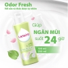 Dung Dịch Vệ Sinh Phụ nữ Lá Trầu Lactacyd Odor Fresh Giúp Ngăn Mùi Suốt 24 Giờ