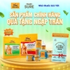 Nguyên Hộp 12 Túi Dán Nhỏ Tiger Balm Plaster 7x10CM