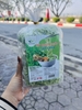 Mỳ tôm rau chùm ngây 360g