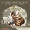 Bí Quyết Chọn Bàn Trang Điểm Phòng Ngủ Đẹp Chuẩn, Tối Ưu Diện Tích