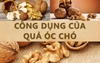 Công dụng của óc chó vàng!