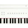 PIANO ĐIỆN/ STUDIO, MOBILE DIGITAL PIANO – ARTESIA PE-88 (PE88) – MÀU TRẮNG (WH)