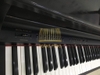 Đàn Piano điện Kawai PW-610