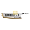 Synthesizer Roland AX-Edege