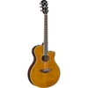 guitar-thung-yamaha-APX600FM