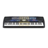 Đàn organ Casio CTK495