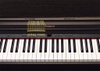 Đàn piano điện Roland RP-401