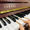 Đàn Piano điện Yamaha DUP-8