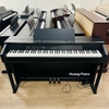 Đàn Piano điện Casio AP-450