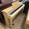 ĐÀN PIANO ĐIỆN CN-29
