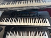 Đàn organ Yamaha PSR-E263
