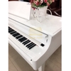 Đàn Piano điện Kawai EGP-10