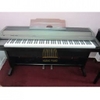Đàn piano điện Kawai PW-2000