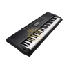 Đàn organ Casio CTK 3000