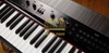 Đàn organ Korg Grandstage
