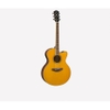Guitar thùng Yamaha CPX600