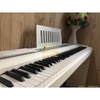 Piano điện KORG SP 170S